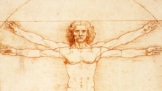 Leonardo Da Vinci Projects Intership logo